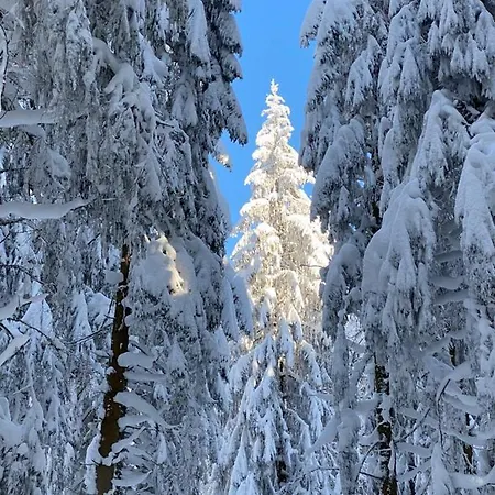 Nouveau Bain Nordique Apartamento Xonrupt-Longemer