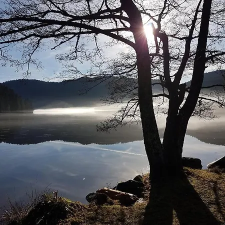 Nouveau Bain Nordique Apartamento Xonrupt-Longemer