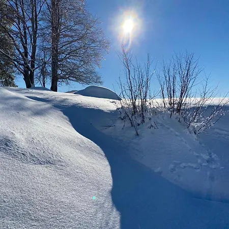 Nouveau Bain Nordique Apartamento Xonrupt-Longemer