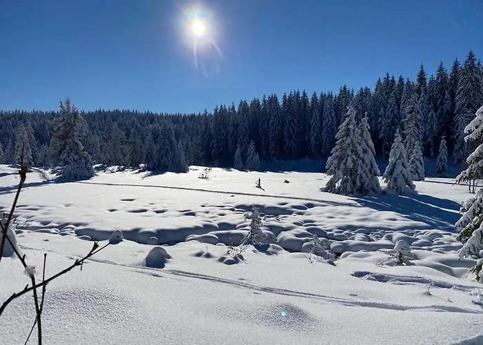 아파트 Nouveau Bain Nordique