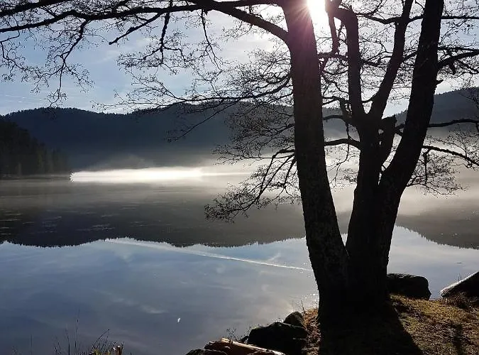 Nouveau Bain Nordique 아파트 종루프 롱지메르